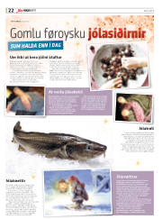 Síða 60