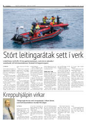 Síða 8