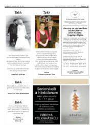 Síða 17