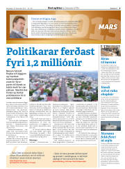 Síða 29