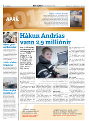 Síða 30