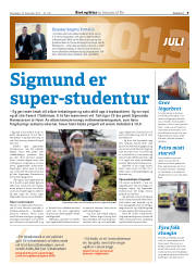 Síða 33