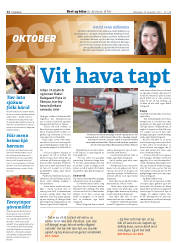 Síða 36