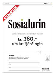 Síða 17