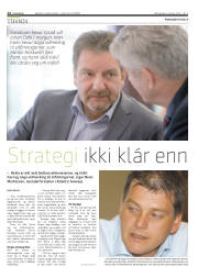 Síða 14