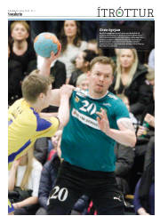 Síða 15
