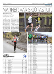Síða 17