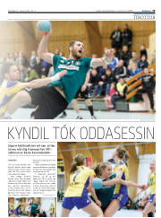 Síða 19