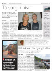 Síða 20