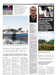 Síða 21
