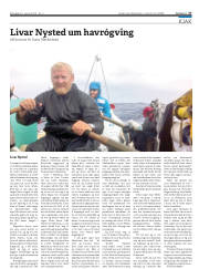 Síða 27