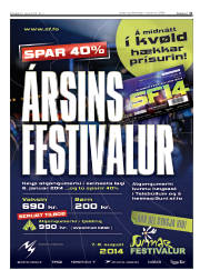 Síða 31