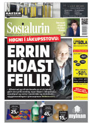 Síða 1
