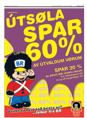 Síða 13