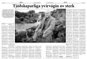 Síða 8