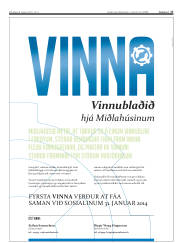 Síða 17
