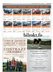Síða 27