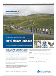 Síða 3