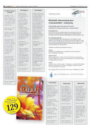 Síða 16