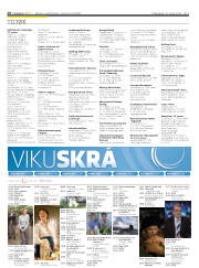 Síða 20