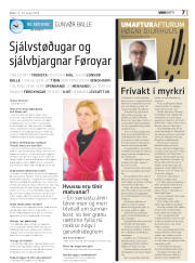 Síða 31