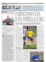 Síða 14
