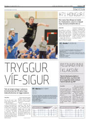 Síða 15