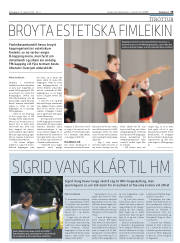 Síða 19