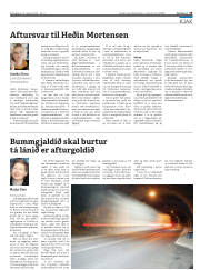 Síða 25
