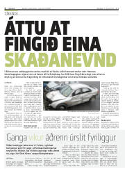 Síða 8