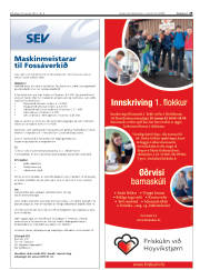 Síða 29