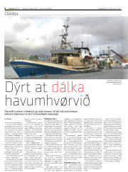 Síða 6