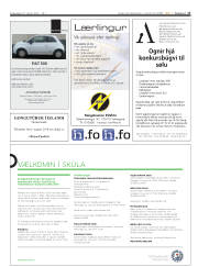 Síða 17