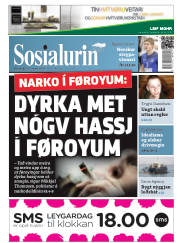Síða 1