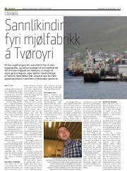 Síða 10