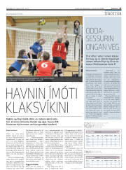 Síða 15