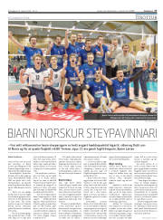 Síða 17