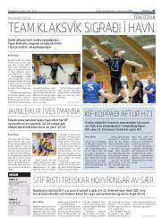 Síða 19