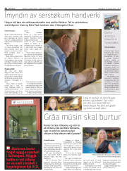 Síða 24