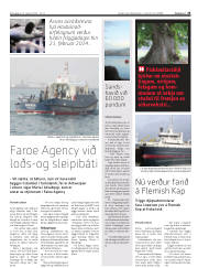 Síða 25