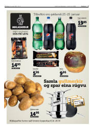 Síða 3