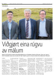 Síða 6