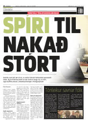 Síða 10