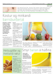 Síða 17