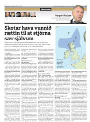 Síða 11