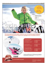 Síða 15
