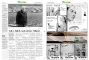 Síða 11