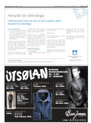 Síða 17