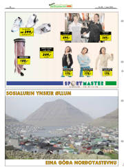 Síða 13