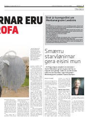 Síða 5